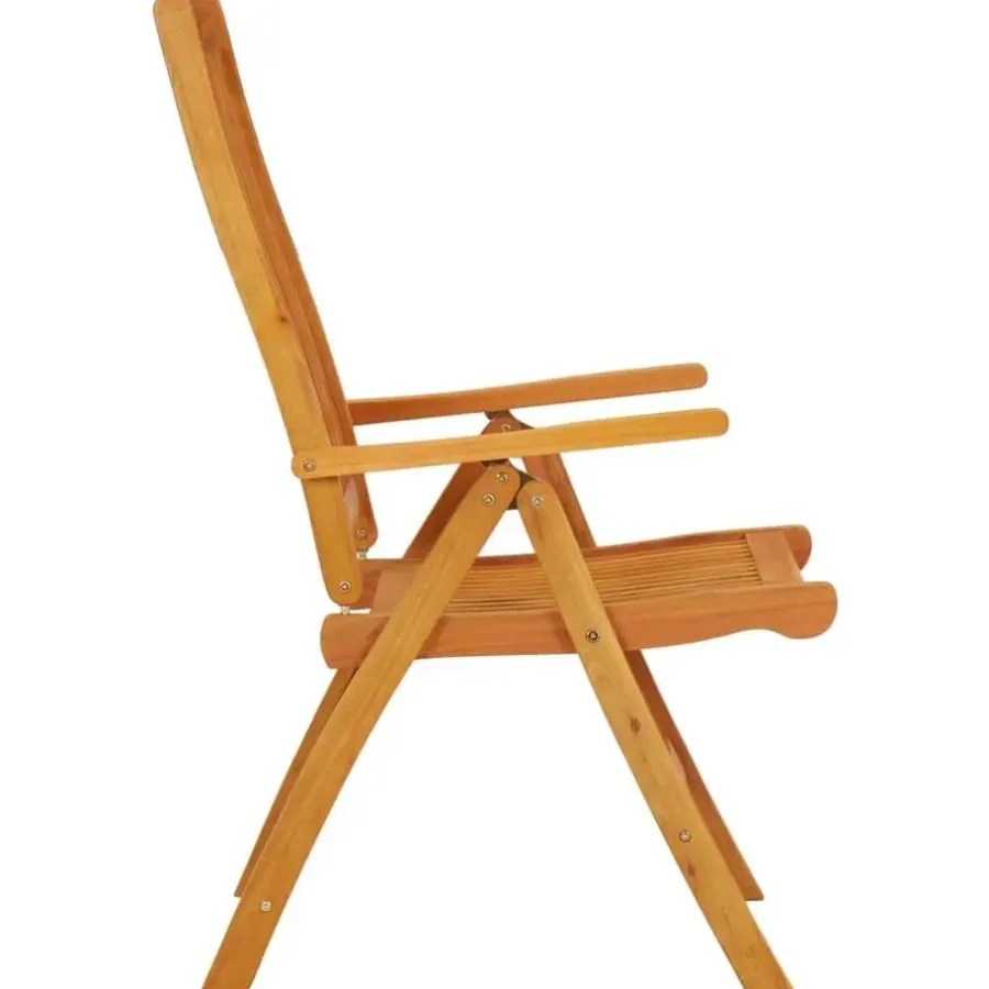 Tuinstoelen-vidaXL - Tuinstoel - Bruin - Eucalyptushout - 2 stuks - Inklapbaar