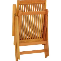 Tuinstoelen-vidaXL - Tuinstoel - Bruin - Eucalyptushout - 2 stuks - Inklapbaar