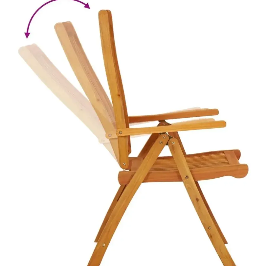 Tuinstoelen-vidaXL - Tuinstoel - Bruin - Eucalyptushout - 2 stuks - Inklapbaar