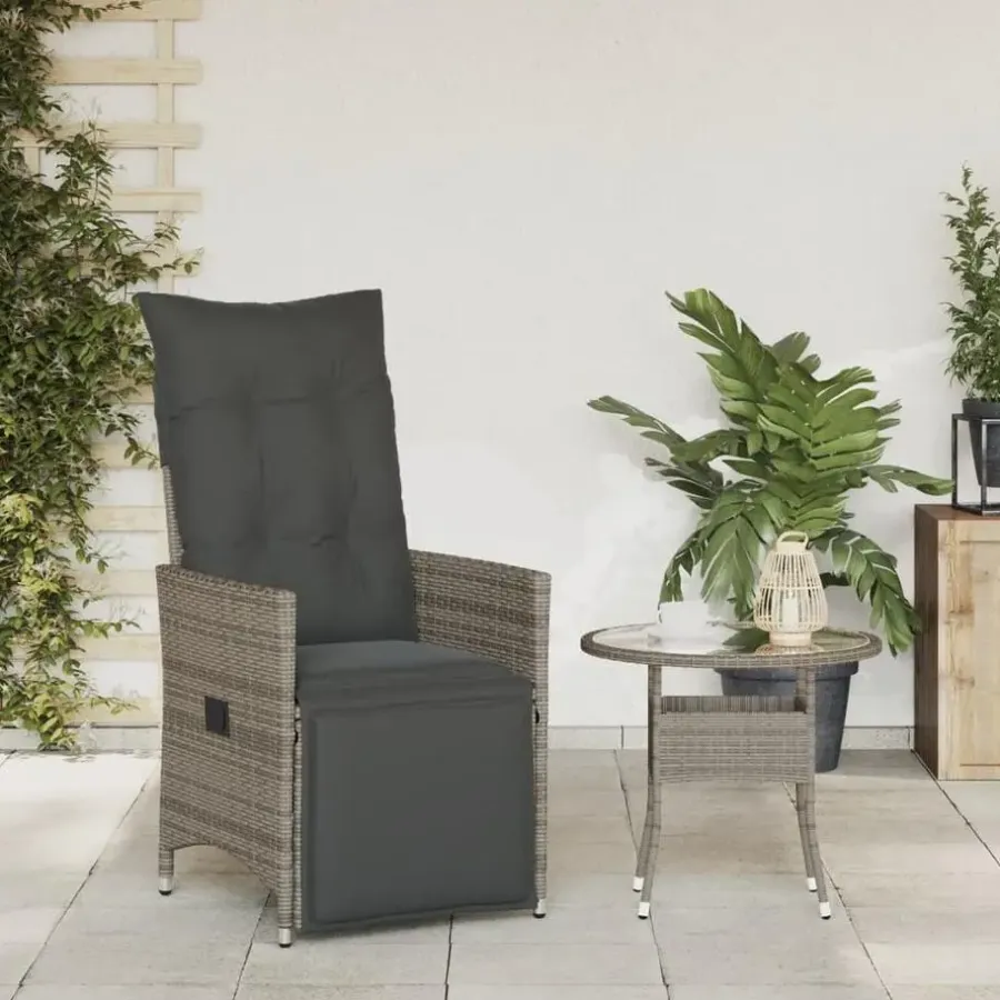 vidaXL - Tuinstoel - Grijs - Poly rattan