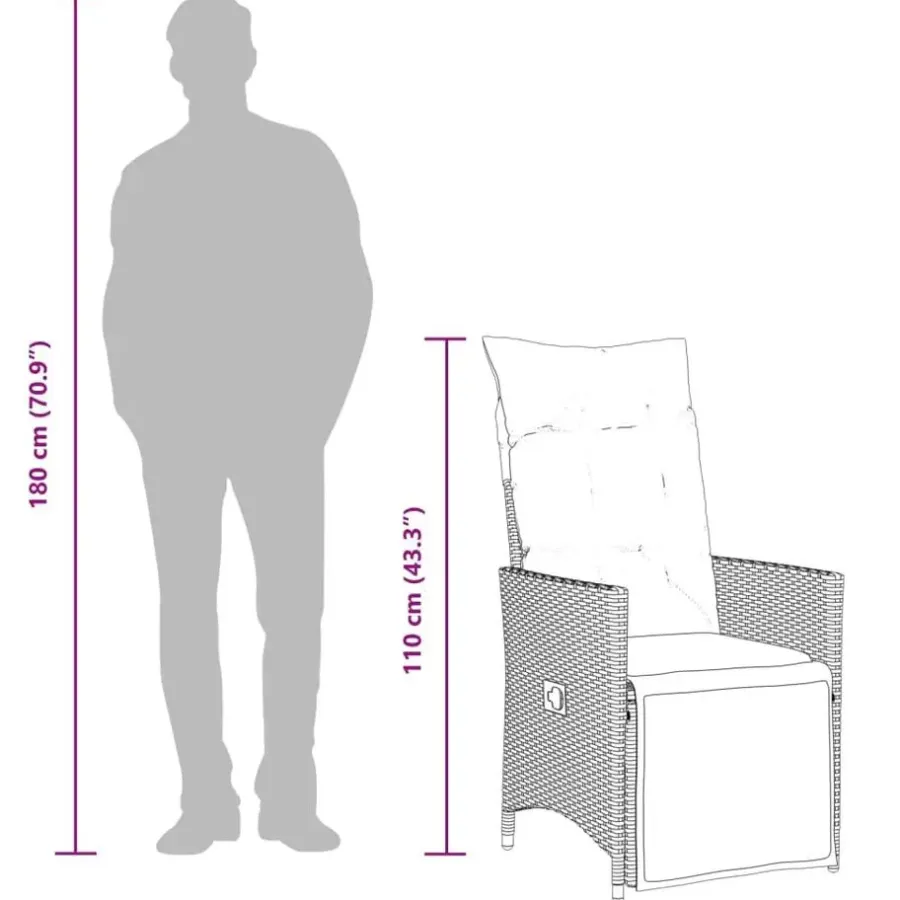 vidaXL - Tuinstoel - Grijs - Poly rattan