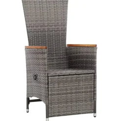vidaXL - Tuinstoel - Grijs - Poly rattan - 2 stuks