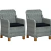 vidaXL - Tuinstoel - Grijs - Poly rattan - 2 stuks