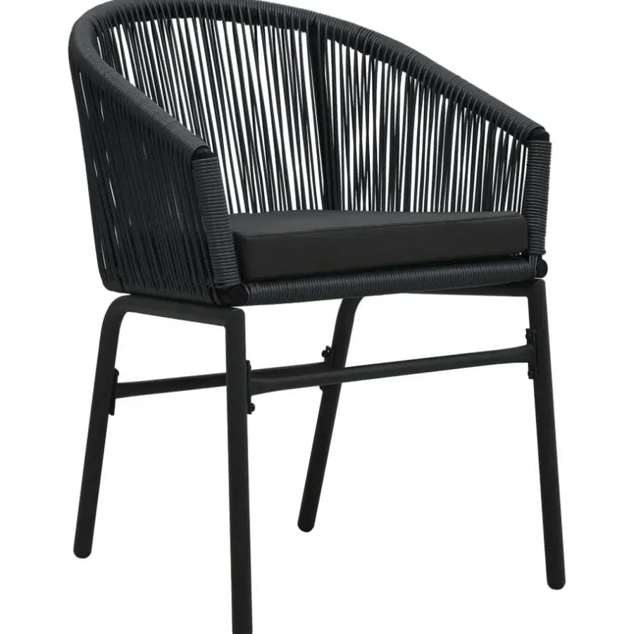 vidaXL - Tuinstoel - Zwart - Polyetheen - 2 stuks