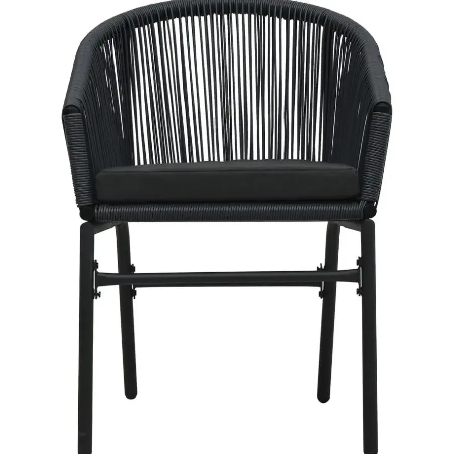 vidaXL - Tuinstoel - Zwart - Polyetheen - 2 stuks