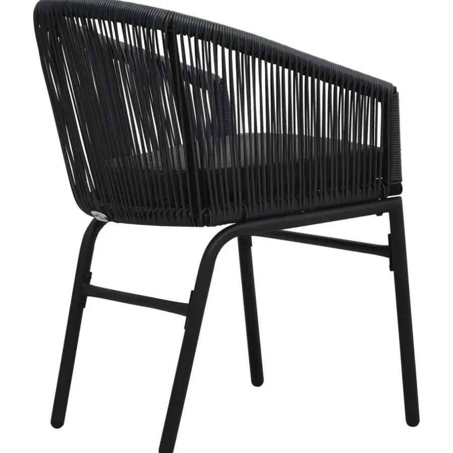vidaXL - Tuinstoel - Zwart - Polyetheen - 2 stuks