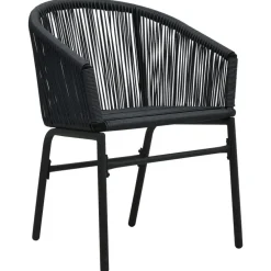 vidaXL - Tuinstoel - Zwart - Polyetheen - 2 stuks