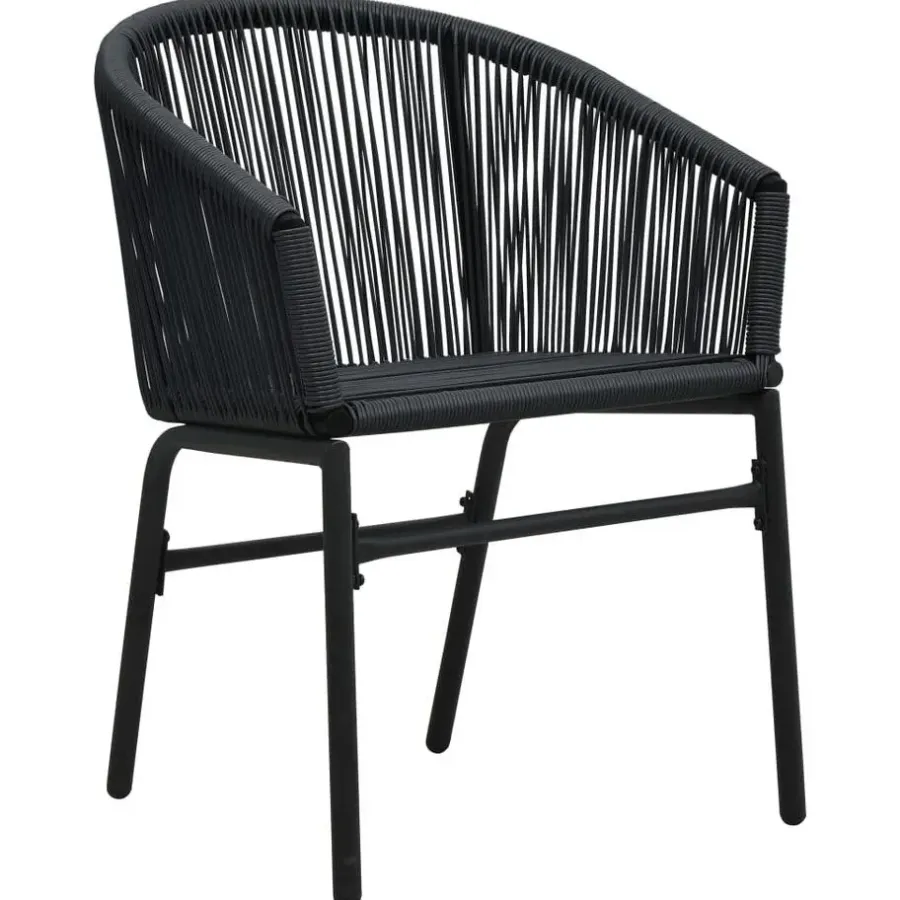 vidaXL - Tuinstoel - Zwart - Polyetheen - 2 stuks