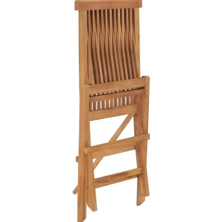 vidaXL - Tuinstoelen - Bruin - Hout - 2 stuks - Inklapbaar