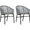vidaXL - Tuinstoelen - Grijs - Polyetheen - 2 stuks