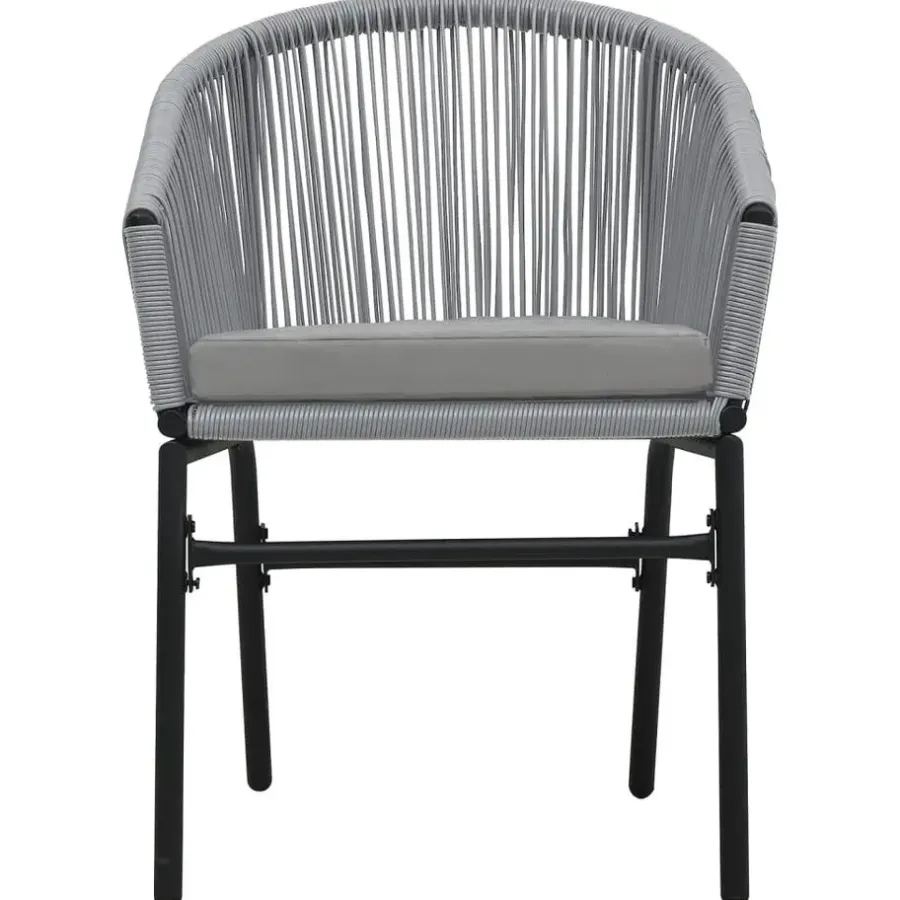 vidaXL - Tuinstoelen - Grijs - Polyetheen - 2 stuks