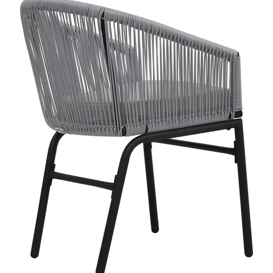 vidaXL - Tuinstoelen - Grijs - Polyetheen - 2 stuks