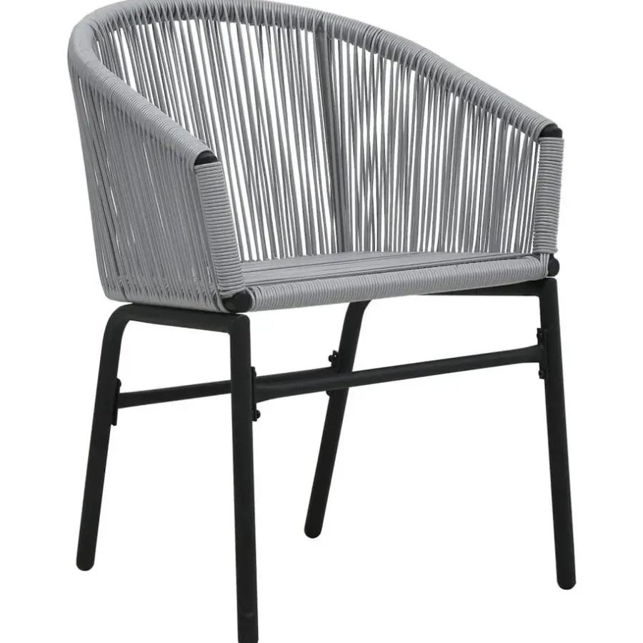 vidaXL - Tuinstoelen - Grijs - Polyetheen - 2 stuks