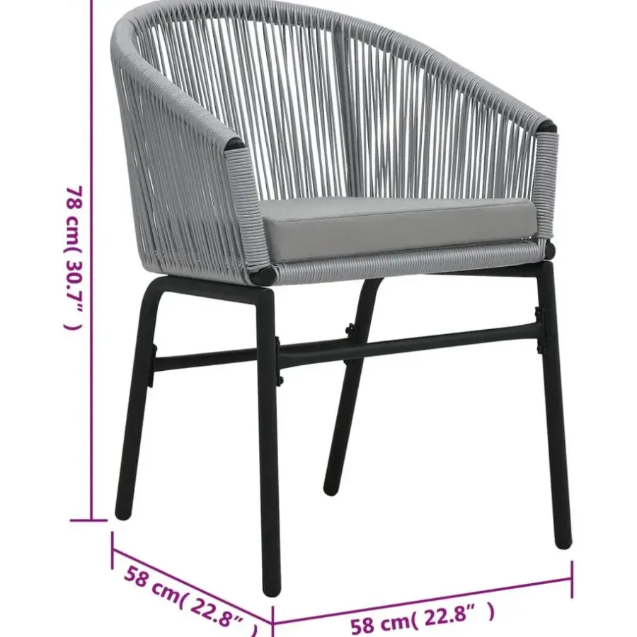 vidaXL - Tuinstoelen - Grijs - Polyetheen - 2 stuks