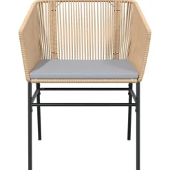 Tuinstoelen-vidaXL - Tuinstoelen -Kussens - Bruin - Poly rattan - 2 stuks