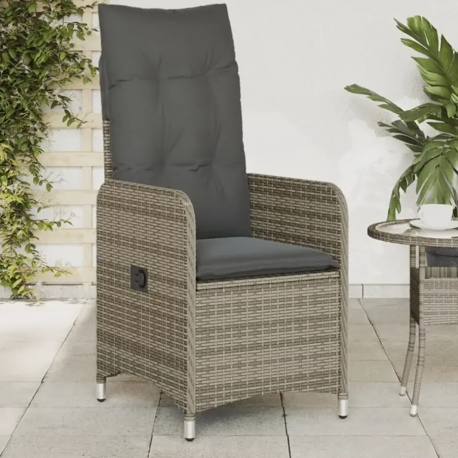 vidaXL - Tuinstoelen met kussens - Grijs - Poly Rattan - 2 stuks
