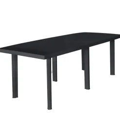 vidaXL - Tuintafel - Antraciet - Kunststof