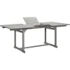 vidaXL - Tuintafel - Grijs - Massief acaciahout - (150-200)x100x75 cm