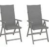 vidaXL - Verstelbare tuinstoelen met kussens - Grijs - Acaciahout - 2 stuks