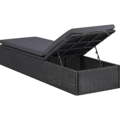 Ligbedden-vidaXL - Zonnebed - Zwart - Poly rattan