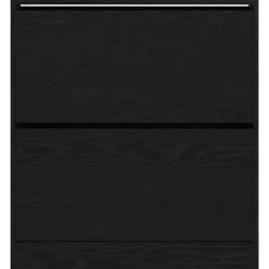 vidaXL - Zwart Schoenenkast met 2 vakken - Bewerkt hout - 80x21x87.5 cm