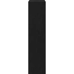 vidaXL - Zwart Schoenenkast met 2 vakken - Bewerkt hout - 80x21x87.5 cm