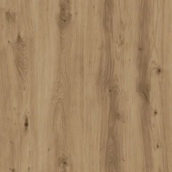 Rechthoekige Eettafels-vidaXL Eettafel - Rechthoekige tafel - Artisanaal eiken - Hout - 120x60 cm