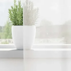 vidaXL Gordijnen van voile met lussen - Wit - 140x260 cm - Stof - 2 Stuks