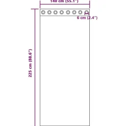 vidaXL Gordijnen van voile met ringen - Donkergrijs - 140x225 cm - Stof - 2 St.
