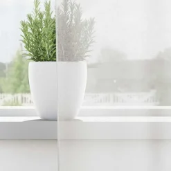 vidaXL Gordijnen van voile met ringen - Wit - 140x245 cm - Stof - 2 Stuks