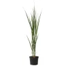 Planten|Tuinplanten-Plant in a Box Vingergras - Panicum virgatum 'Northwind' - Hoogte 40-60cm - ⌀23cm