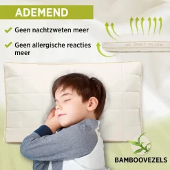 Hoofdkussens-Vitapur - My First Pillow 40x60 cm - 2 stuks