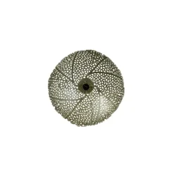 Wandlampen-Light & Living Wandlamp Sinula - Goud - Ø39cm