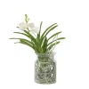 Plant in a Box Witte Orchidee met vaas - Vanda 'White' - Hoogte 40-50cm - ⌀14cm